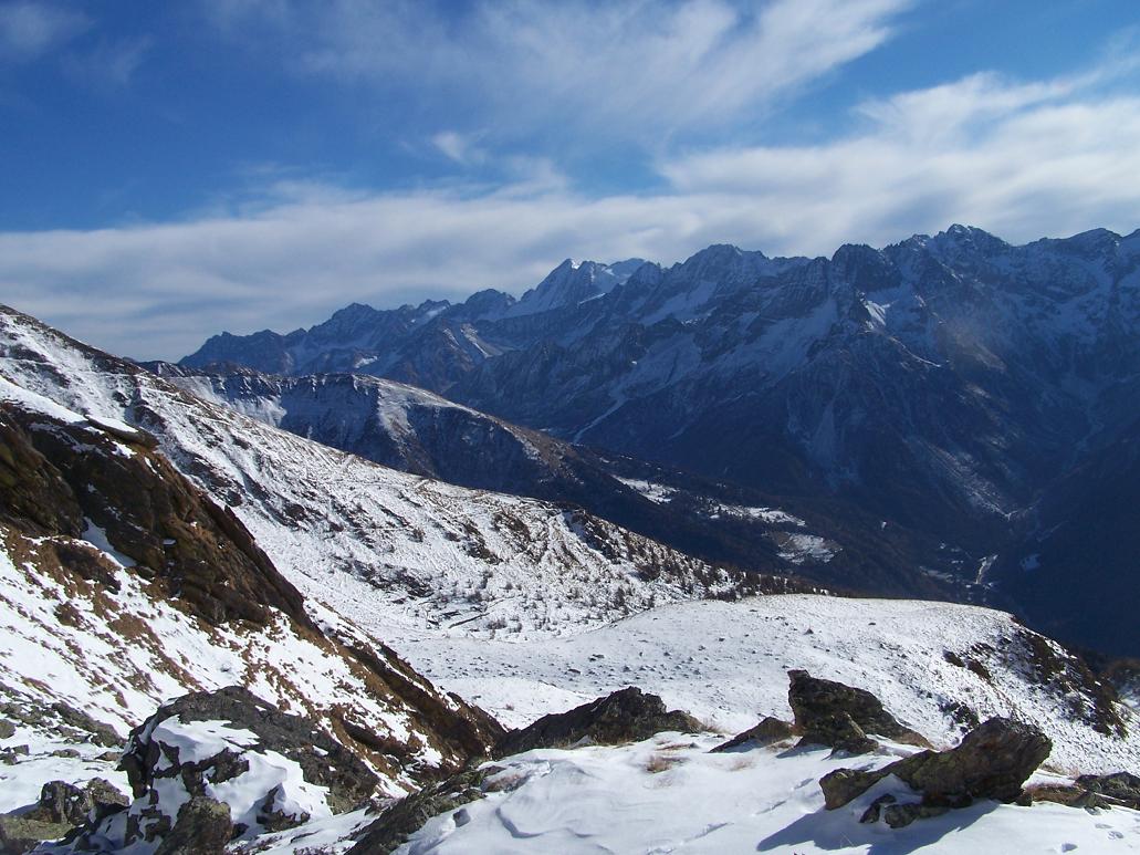 Camosci nella neve (primo)